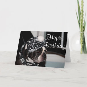 Boston Terrier photo Card