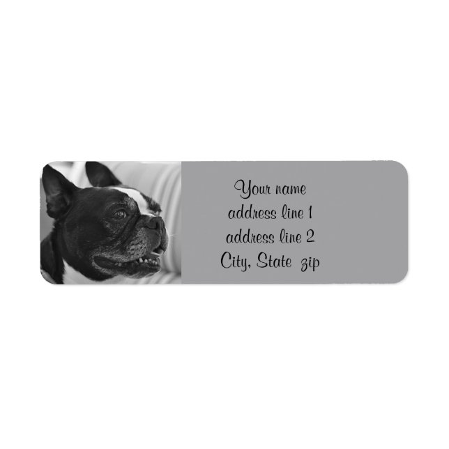 Boston Terrier photo Return Address Label (Front)