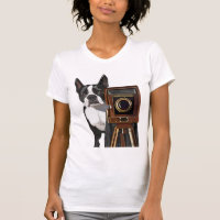 Boston Terrier Photographer 2