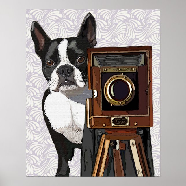 Boston Terrier Photographer Poster (Front)