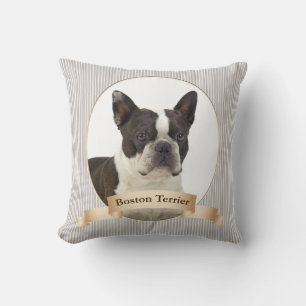 Boston Terrier Pillow