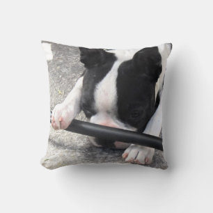 Boston Terrier Pillow