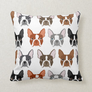 Boston Terrier pillow - cute colours boston