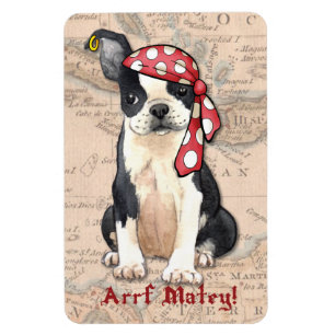 Boston Terrier Pirate Magnet