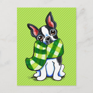 Boston Terrier Plaid Scarf Winter Postcard