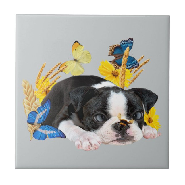 Boston Terrier Play Day Tile (Front)