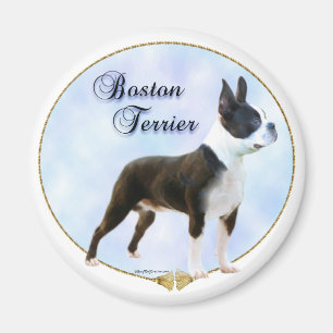 Boston Terrier Portrait Magnet