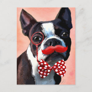 Boston Terrier Portrait with Red Bow Tie and 3 Postcard