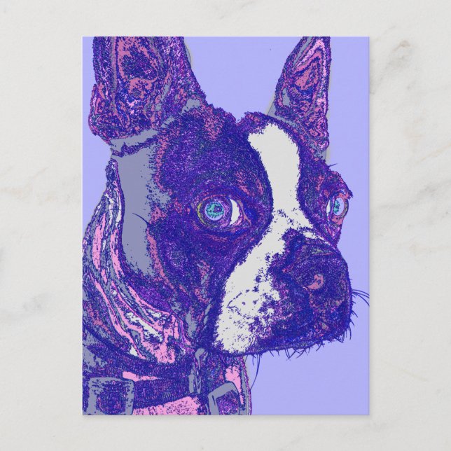 Boston Terrier Postcard (Front)