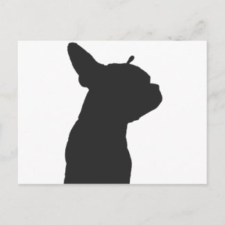 Boston Terrier Postcard