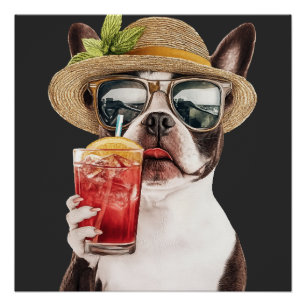 Boston Terrier Poster
