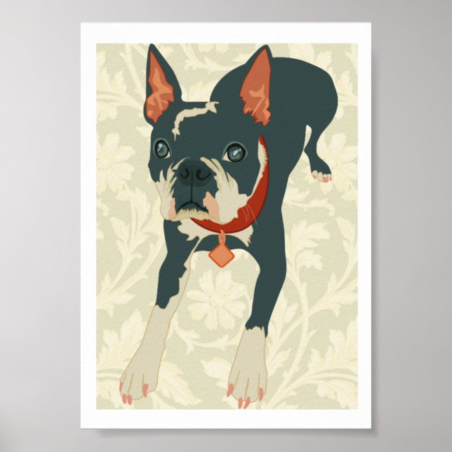 Boston Terrier Print (Front)
