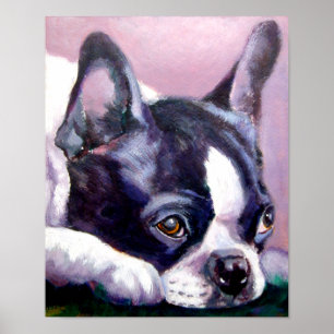 Boston Terrier Print