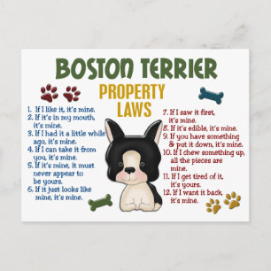 Boston Terrier Property Laws 4 Postcard