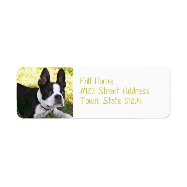 Boston Terrier Pup Mailing Labels (Front)