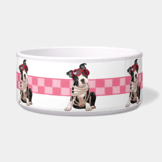 Boston Terrier Puppy