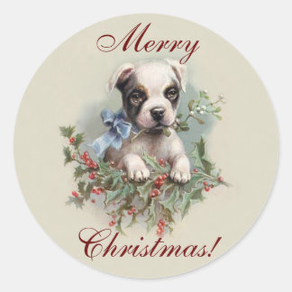 Boston Terrier Puppy - Cute Dog Christmas Holiday Classic Round Sticker