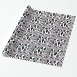Boston Terrier puppy dog gift wrapping paper