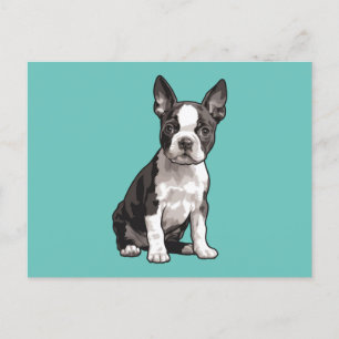 Boston Terrier  Puppy Dog Postcard 