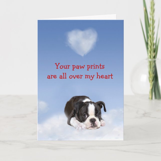 Boston Terrier Puppy Love Card (Front)