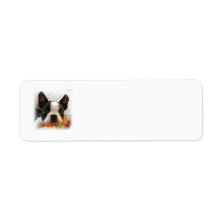 Boston Terrier Puppy Return Address Label