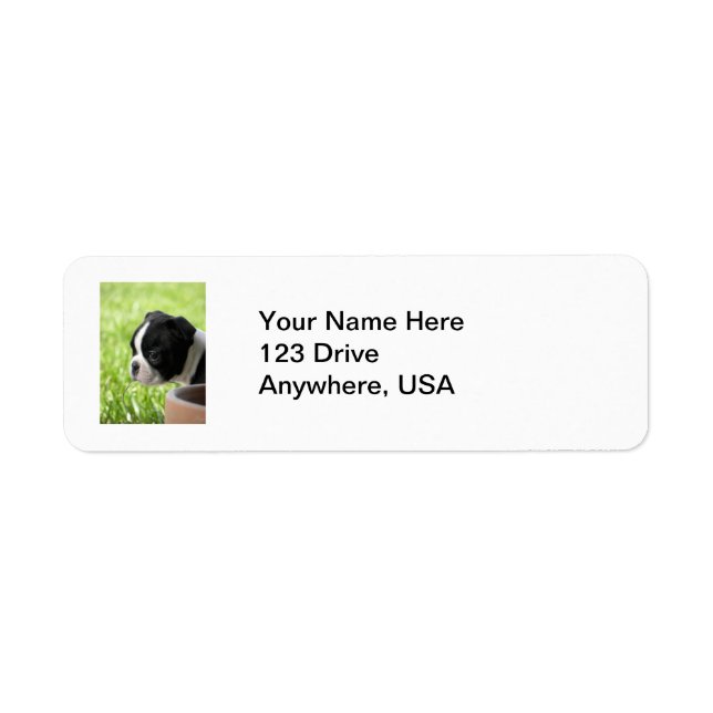 Boston Terrier Puppy Return Address Label (Front)