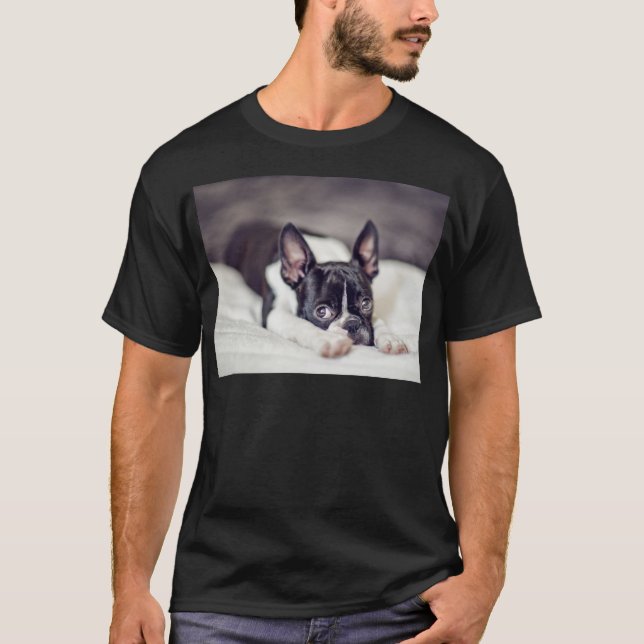 Boston Terrier Puppy T-Shirt (Front)