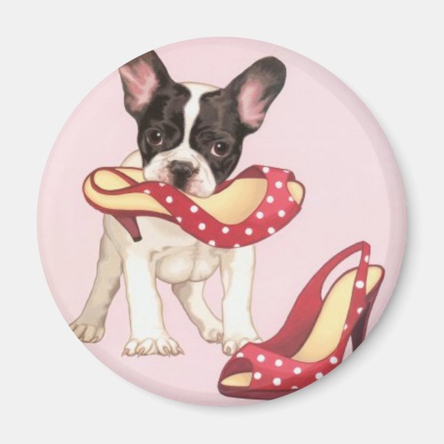 Boston Terrier Puppy With Shoes Magnet (Front)