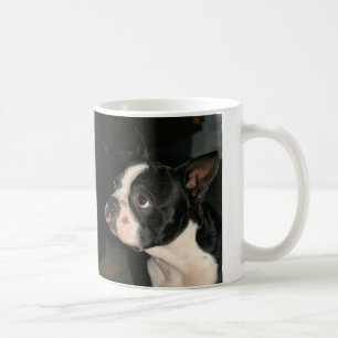 Boston Terrier raspberry  Coffee Mug Cutie