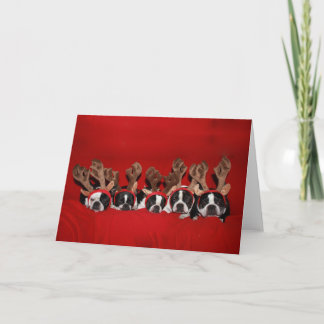 Boston Terrier Reindeer Greeting Card