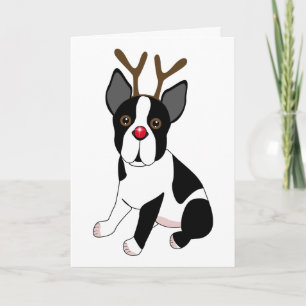 Boston Terrier Reindeer Holiday Card