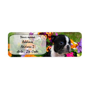 Boston Terrier Return Address Label