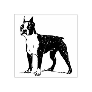 Boston terrier rubber stamp