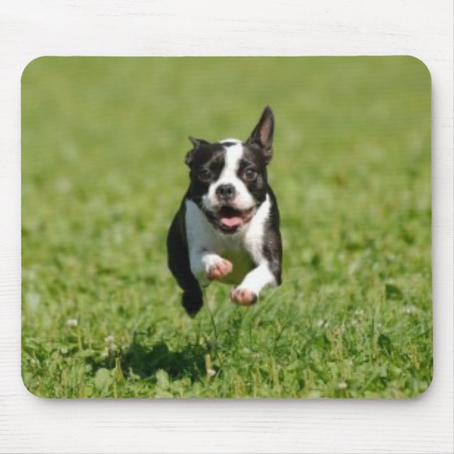 Boston Terrier Running Mousepad (Front)