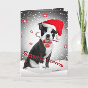 Boston Terrier Santa Paws cards