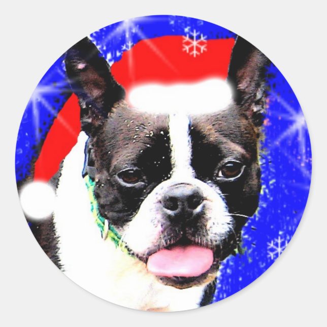Boston Terrier Santa Sticker (Front)