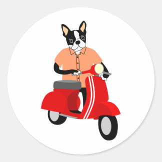 Boston Terrier Scooter Classic Round Sticker