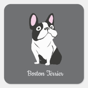 Boston terrier square sticker