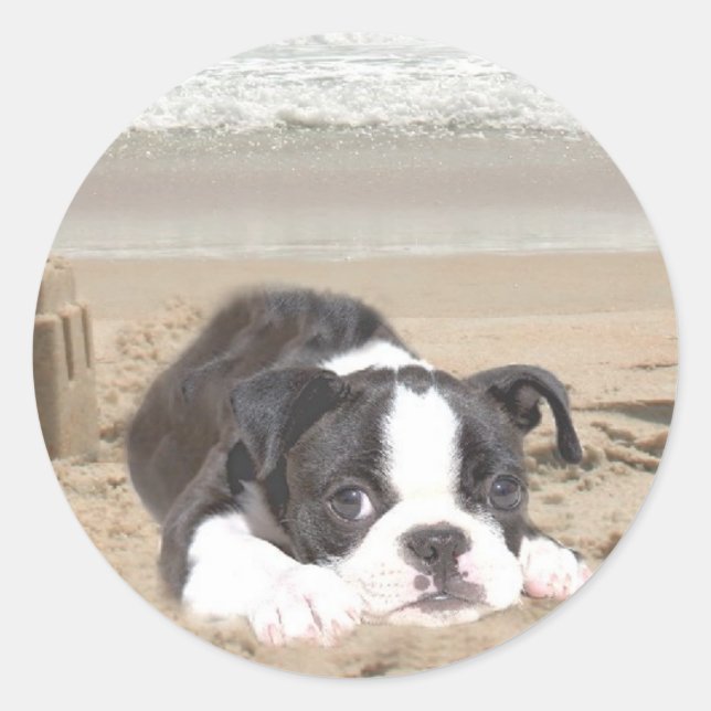 Boston Terrier Sticker Sandcastles (Front)