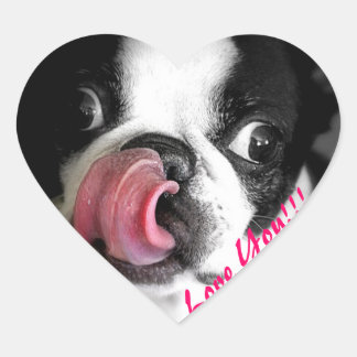 Boston Terrier Stickers