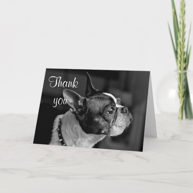 Boston terrier thank you card (Front)