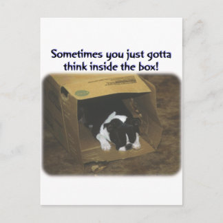 Boston Terrier: Think Inside the Box Postcard