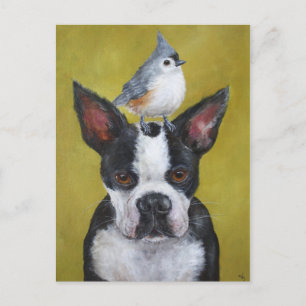 Boston Terrier & titmouse postcard
