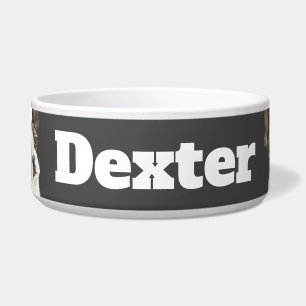 Boston Terrier triangle