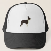 Boston Terrier