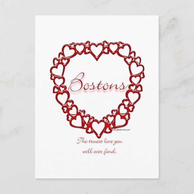 Boston Terrier True Love Postcard (Front)
