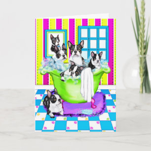 Boston Terrier Tub Full Thank You Card