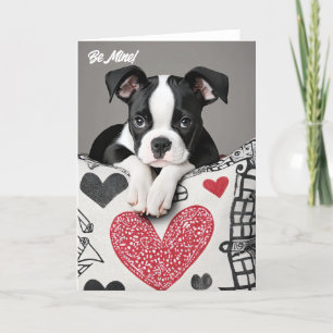 Boston Terrier Valentine Card
