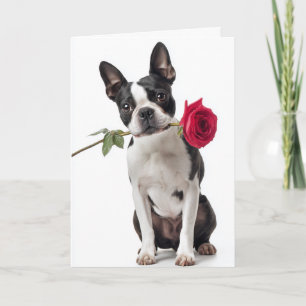 Boston Terrier Valentine – Dapper Love Card