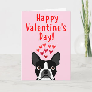 Boston Terrier Valentine's Day Card